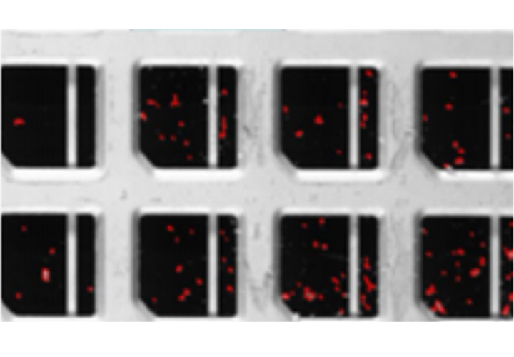 Leadframe/Substrate AOI Auto-Inspection Equipment