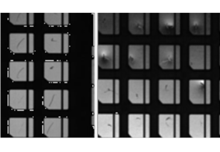 Leadframe/Substrate AOI Auto-Inspection Equipment