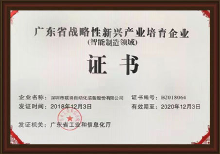 Guangdong Province Strategic Emerging Product Cultivation Enterprise Certificate